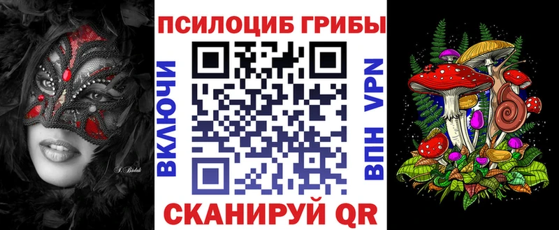 где купить наркоту  Пласт  Псилоцибиновые грибы Psilocybe 